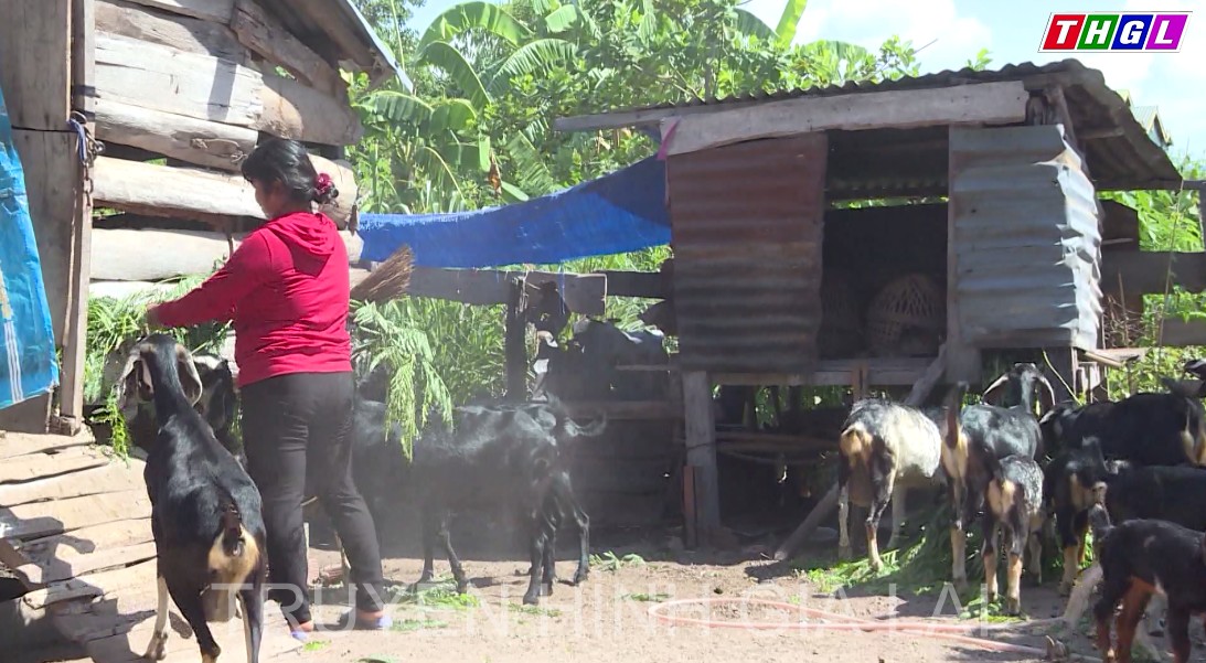 Ia Pa quan tâm đầu tư phát triển kinh tế-xã hội vùng sâu vùng xa