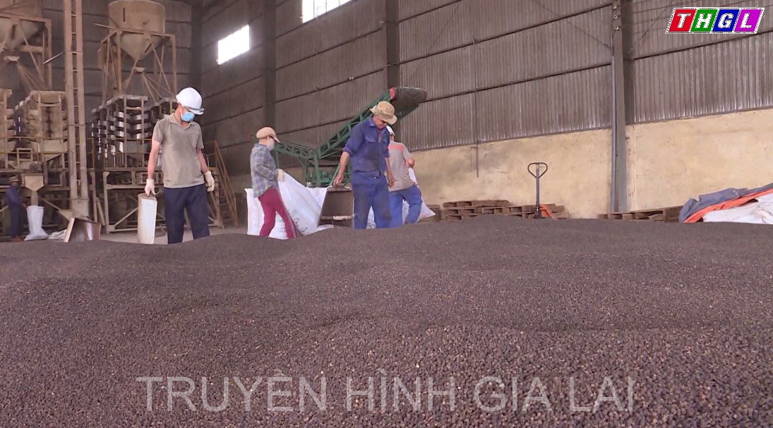 Nhiều kỳ vọng về tăng trưởng xuất khẩu