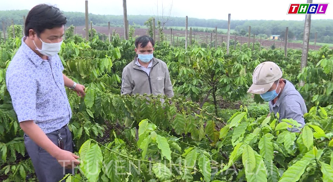 Khởi sắc sự nghiệp khoa học và Công nghệ tại Gia Lai