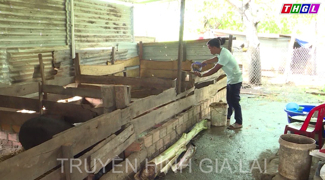 Chư Pưh giúp gần 1.500 hộ dân tộc thiểu số thoát nghèo