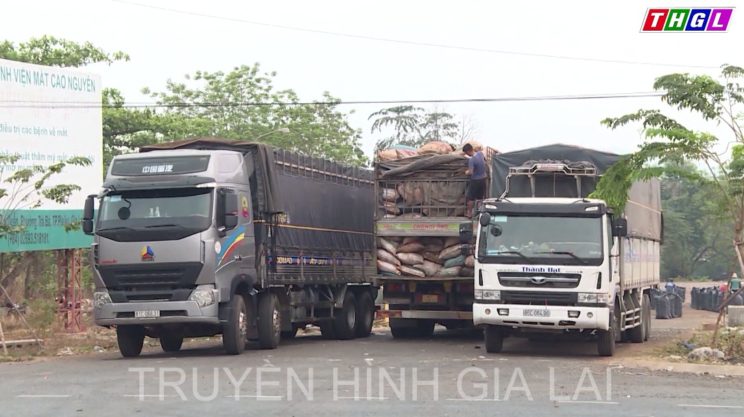 Gia Lai quan tâm hỗ trợ doanh nghiệp triển khai dự án đầu tư