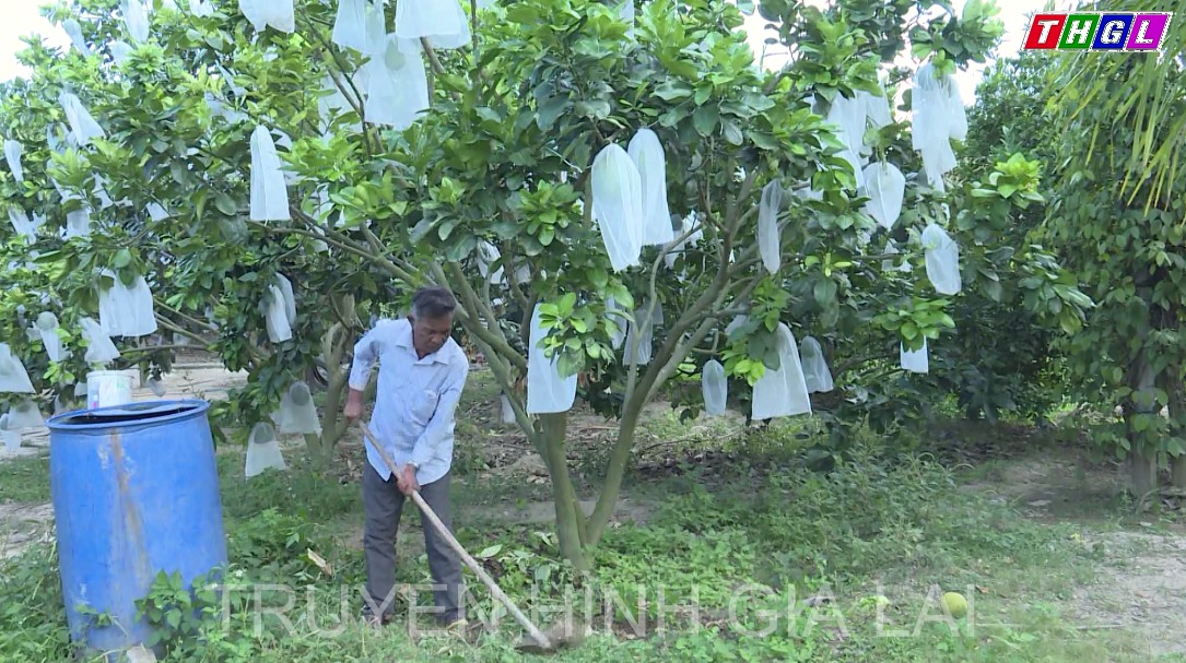 Cựu chiến binh (CCB) Nguyễn Hồng Phước với tấm lòng đáng quý