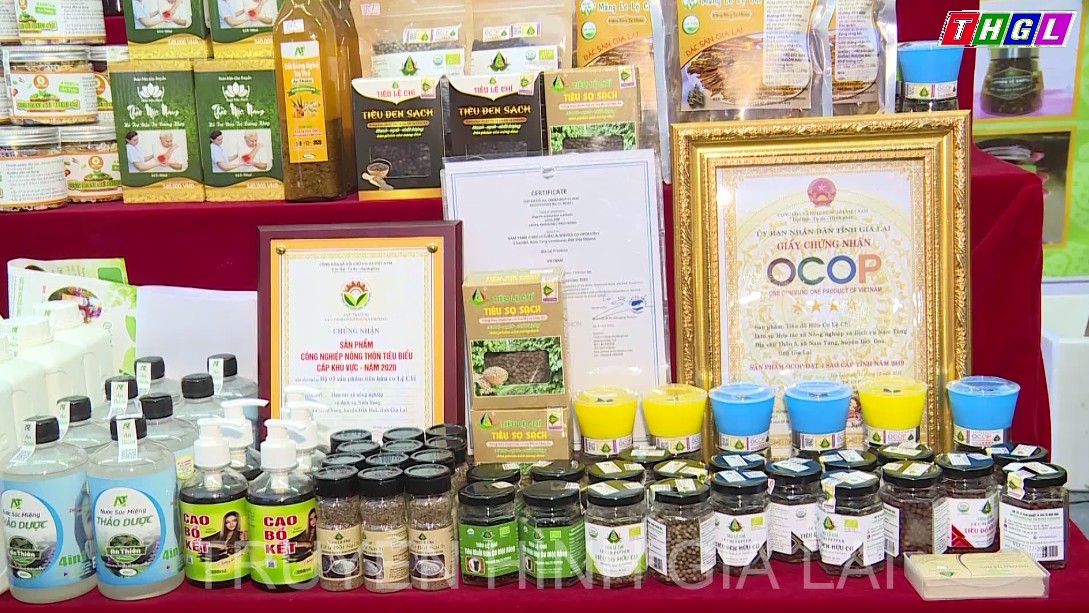 Những đột phá của Gia Lai trong phát triển sản phẩm OCOP