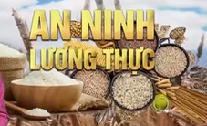 Mất an ninh lương thực đe dọa nhiều quốc gia Đông Nam Á