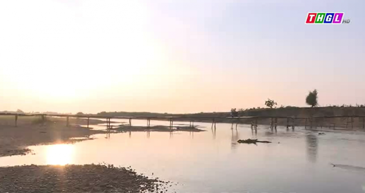 Cây cầu nghĩa tình