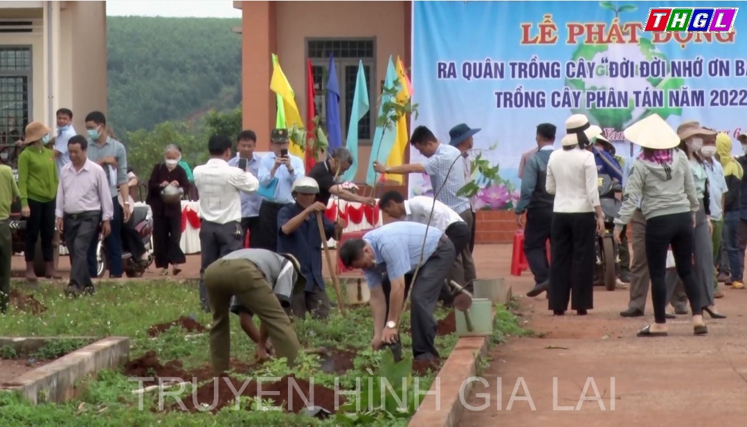 Huyện Mang Yang phát động ra quân trồng cây “Đời đời nhớ ơn Bác Hồ”, trồng cây phân tán năm 2022