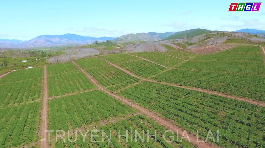 Dự kiến huy động 194.000 tỷ đồng để triển khai thực hiện Nghị quyết số 07 của Ban Chấp hành Đảng bộ tỉnh khóa XVI