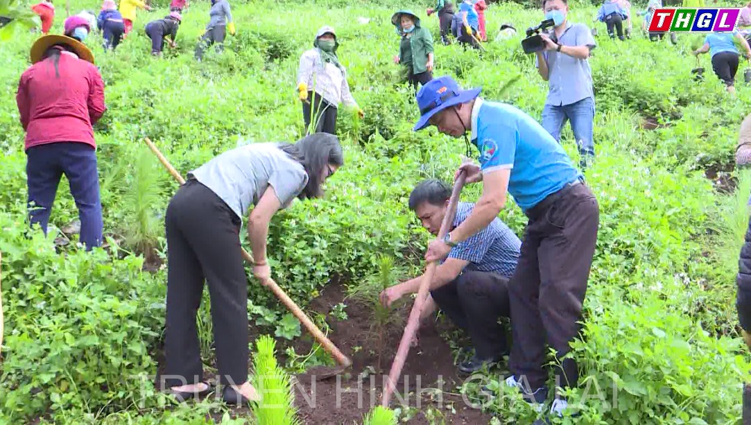 Hội LHPN tỉnh Gia Lai hưởng ứng phong trào “Mỗi phụ nữ trồng một cây xanh” năm 2022