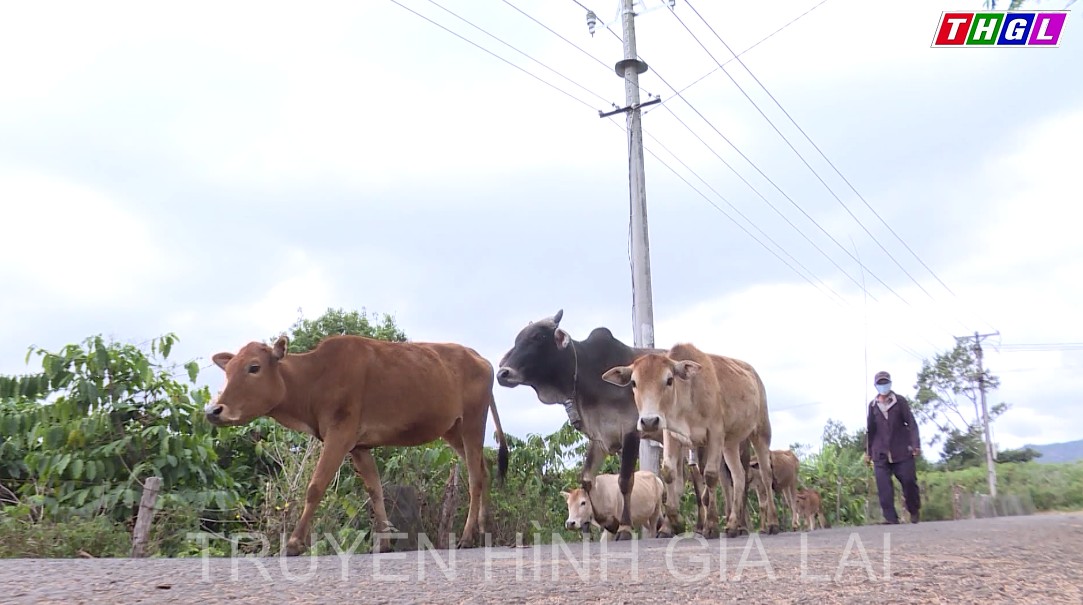 Chư Pah nỗ lực nâng cấp hệ thống giao thông nông thôn