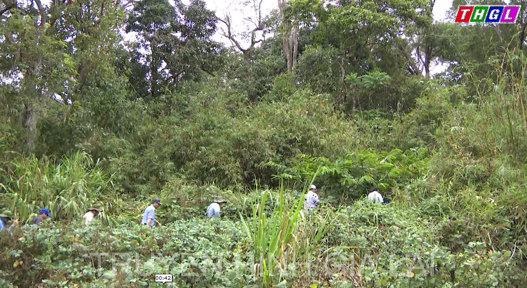 Huyện Mang Yang đẩy mạnh khai thác tiềm năng để phát triển du lịch