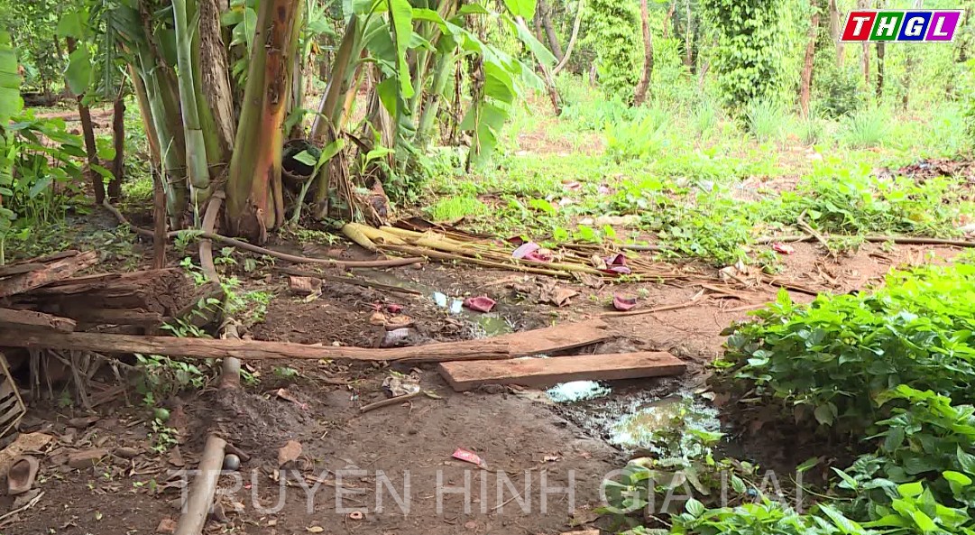 Vệ sinh môi trường ngăn chặn nguy cơ bùng phát dịch sốt xuất huyết