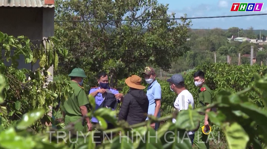 Gia Lai xảy ra 402 vụ phạm pháp hình sự