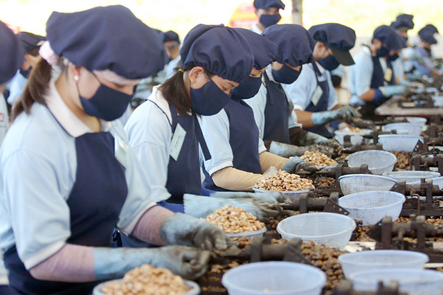 Xây dựng nền tảng phát triển kinh tế trong tình hình mới