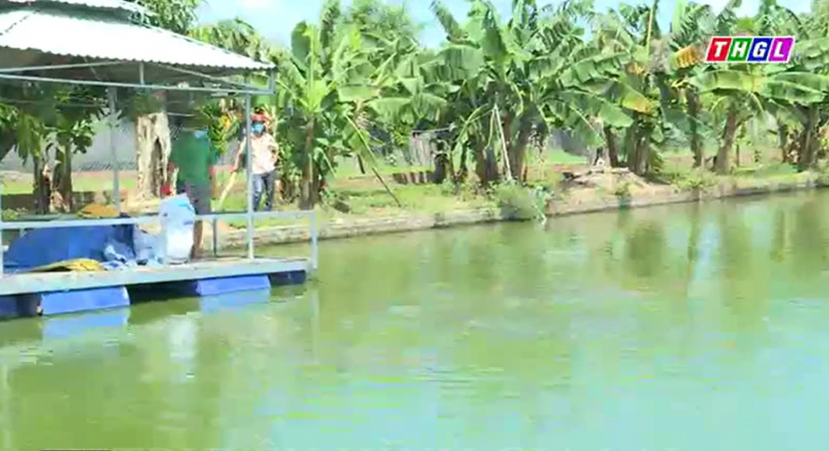 Toàn huyện Phú Thiện có hơn 370 ha diện tích khai thác, nuôi trồng thủy sản