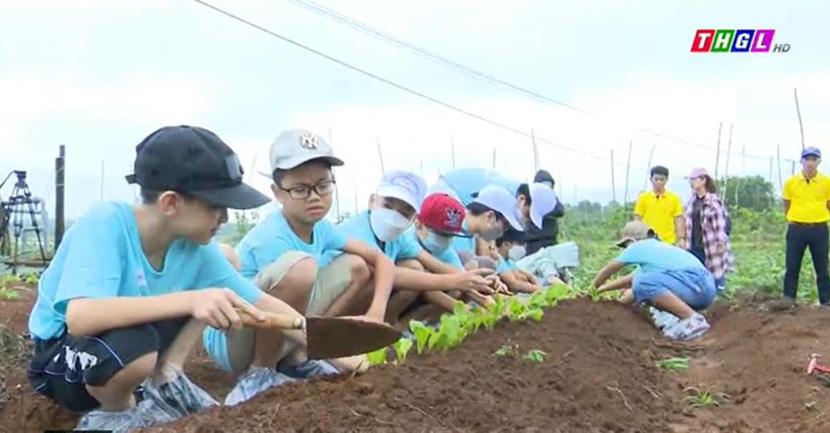 Rèn luyện kỹ năng sống cho thiếu nhi
