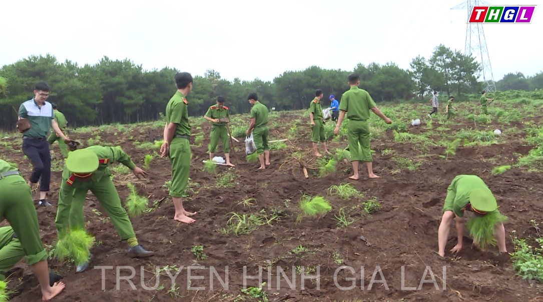 Gia Lai – Sôi nổi Chiến dịch tình nguyện hè năm 2022