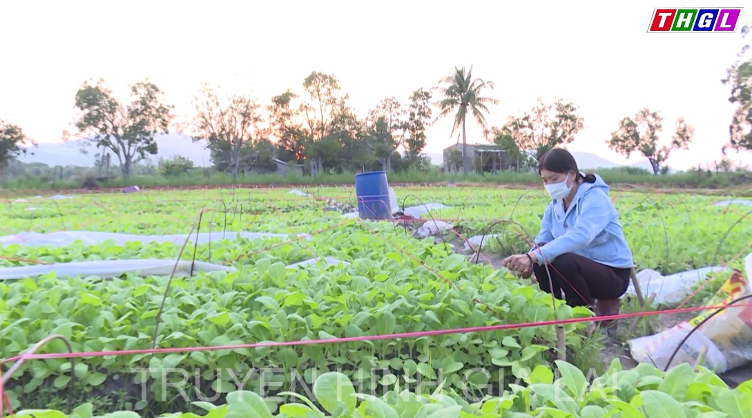 Chị Chu Thị Vân – Người phụ nữ hết lòng với công tác Hội Nông dân