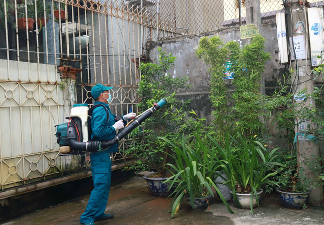 Cả nước có 77.000 người mắc sốt xuất huyết