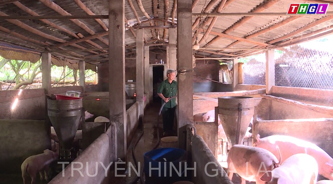 Triển khai có hiệu quả phong trào “Cựu chiến binh giúp nhau giảm nghèo, làm kinh tế giỏi”