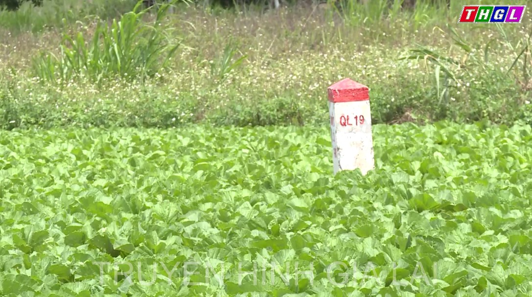 Huyện Đak Pơ tập trung đẩy nhanh tiến độ giải phóng mặt bằng tuyến tránh An Khê