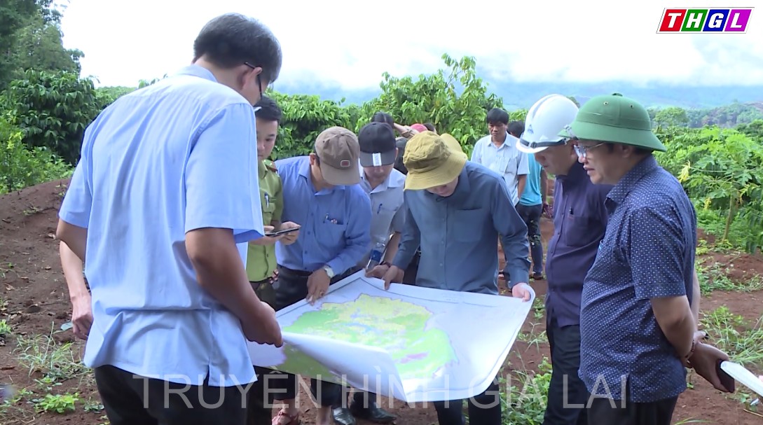 Giám sát công tác trồng rừng và quản lý, bảo vệ rừng ở huyện Kbang