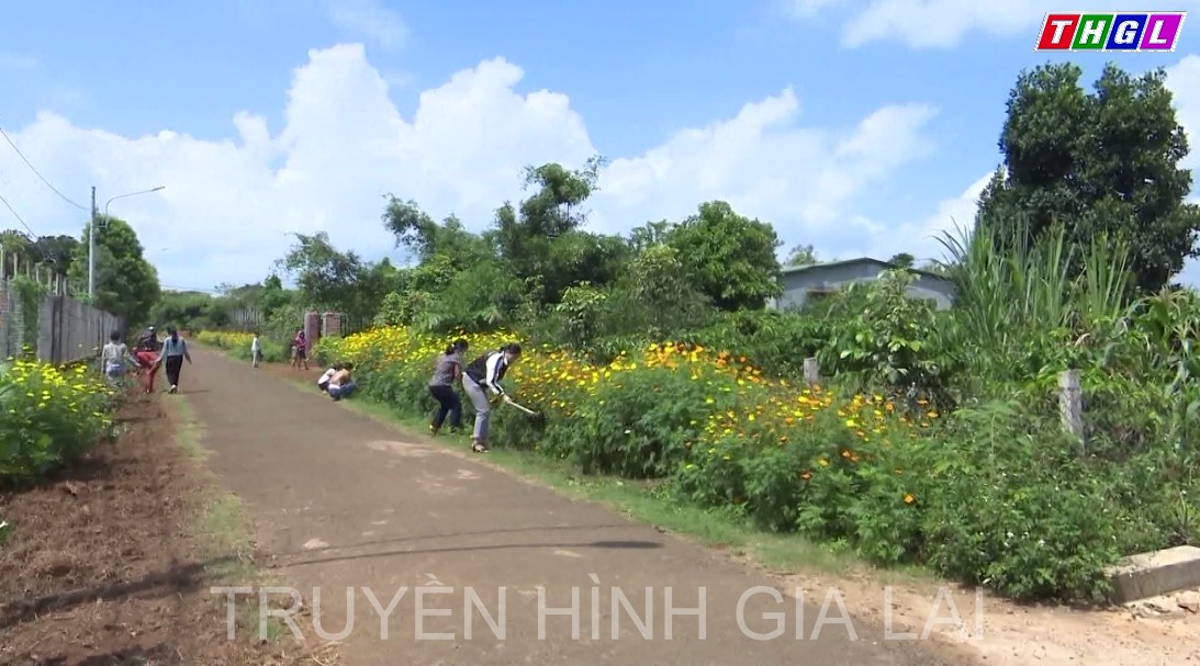 Lan tỏa phong trào “Mỗi hội viên trồng một cây xanh; Mỗi cơ sở Hội một công trình cây xanh”