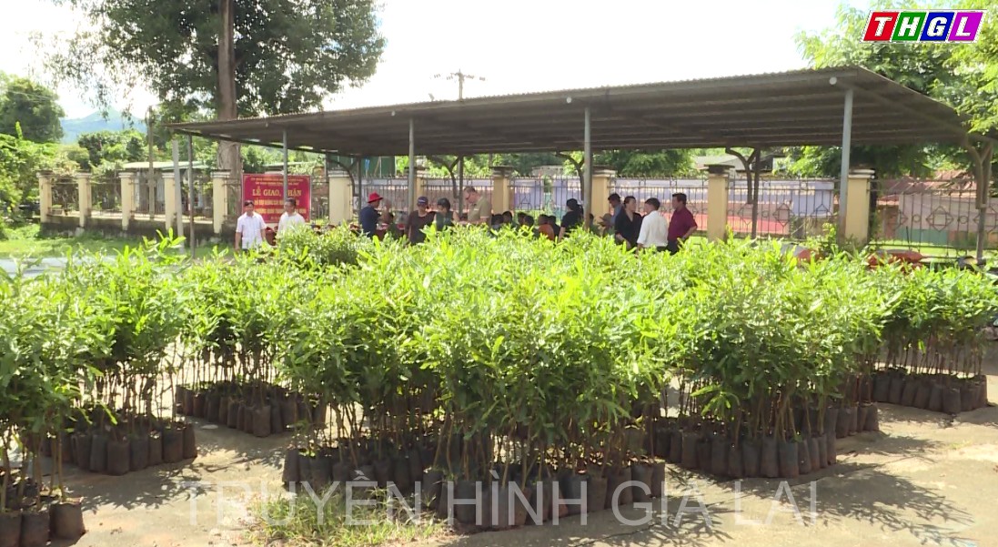 Hà Tây quan tâm chuyển đổi cây trồng