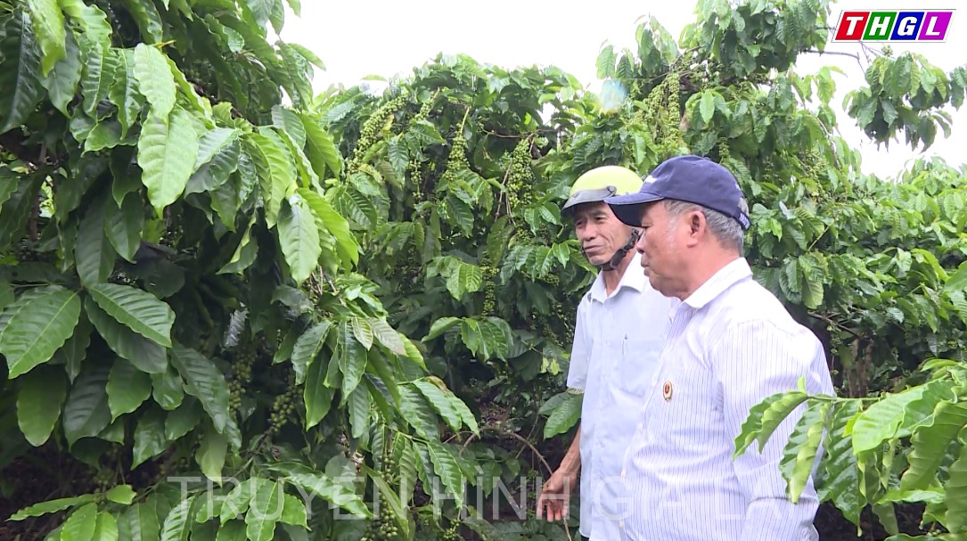 Tỏa sáng giữa đời thường