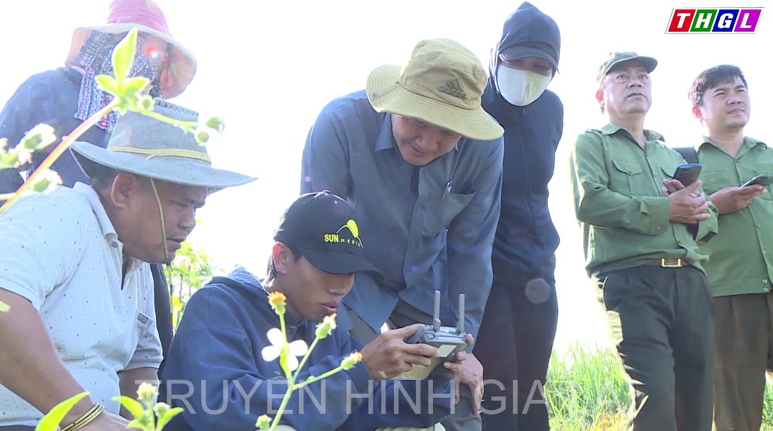 Giám sát công tác trồng rừng và quản lý, bảo vệ rừng ở huyện Kông Chro