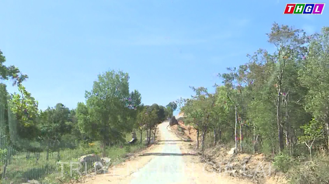 Sức sống mới từ những con đường