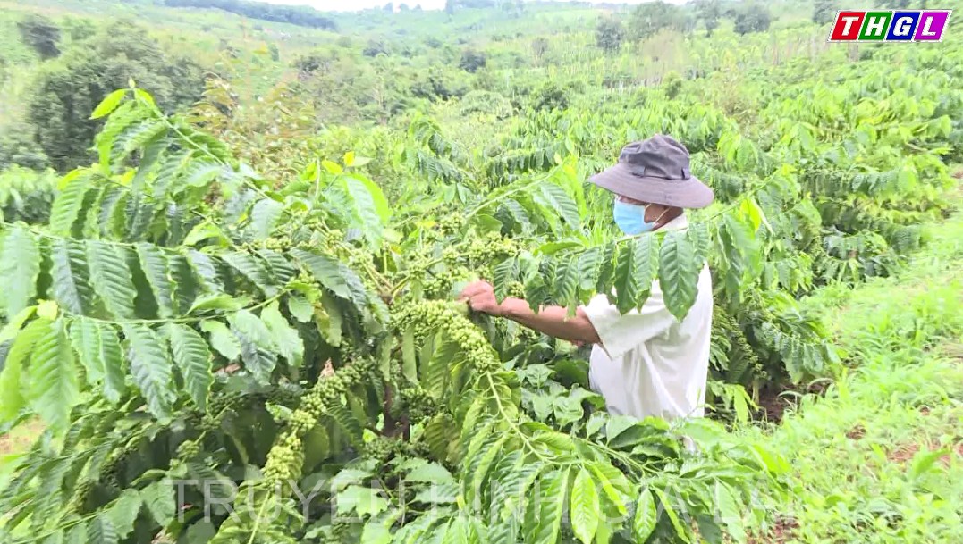 Thay đổi tư duy sản xuất cho người dân từ Dự án thuộc Chương trình nông thôn miền núi