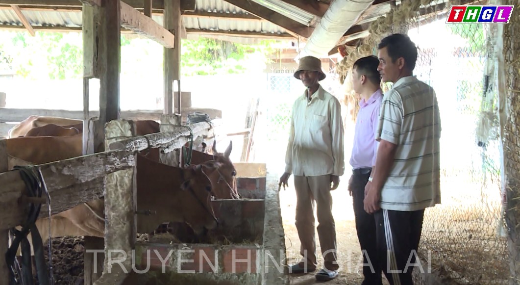 Người dân làng H’lill 1 quyết tâm xây dựng nông thôn mới