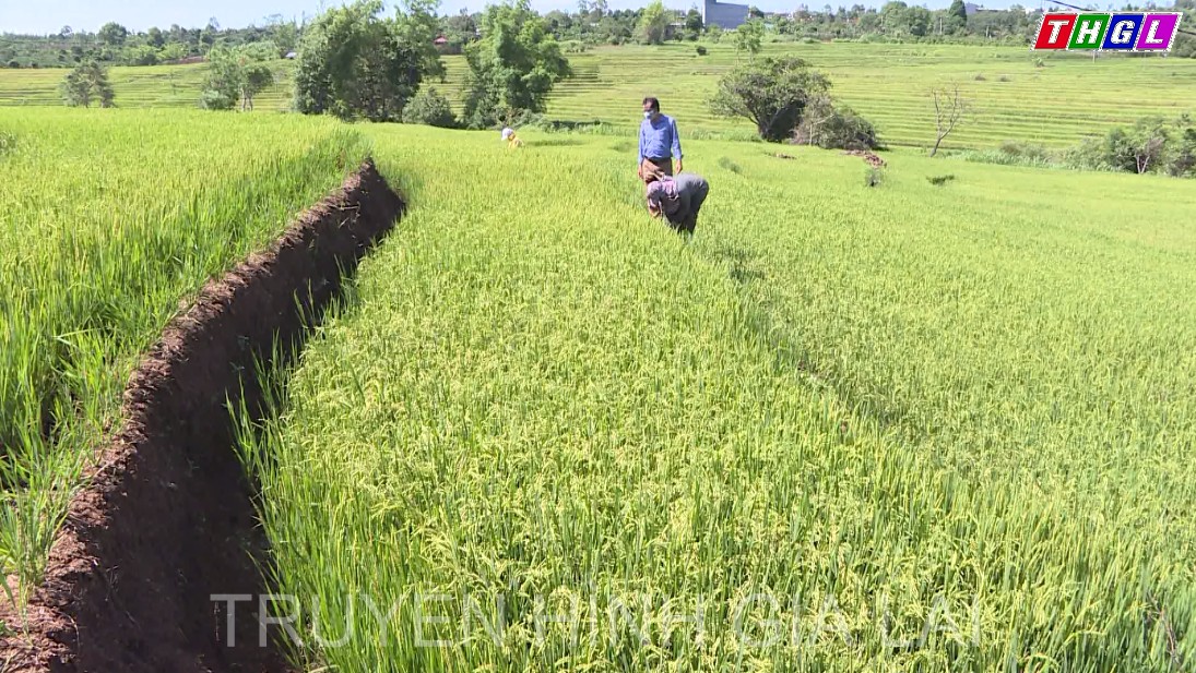 Phát huy hiệu quả sáng kiến của người lao động