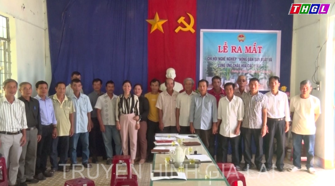 Thị xã An Khê: ra mắt chi hội nghề nghiệp và tuyên truyền hướng dẫn liên kết sản xuất hàng hóa