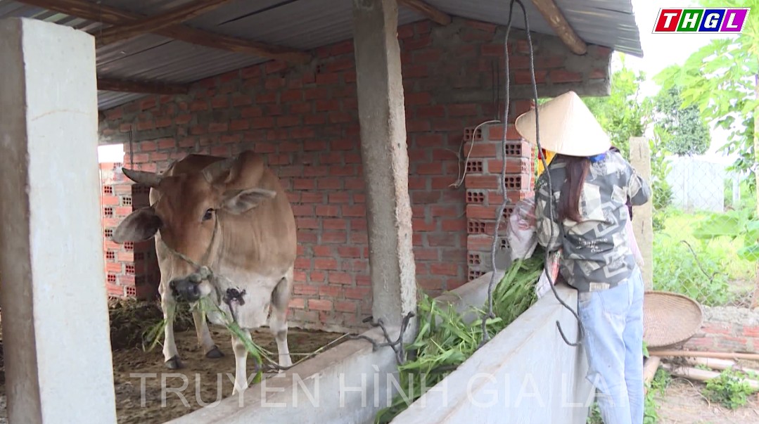 Huyện Đak Pơ tập trung đẩy nhanh công tác giảm nghèo