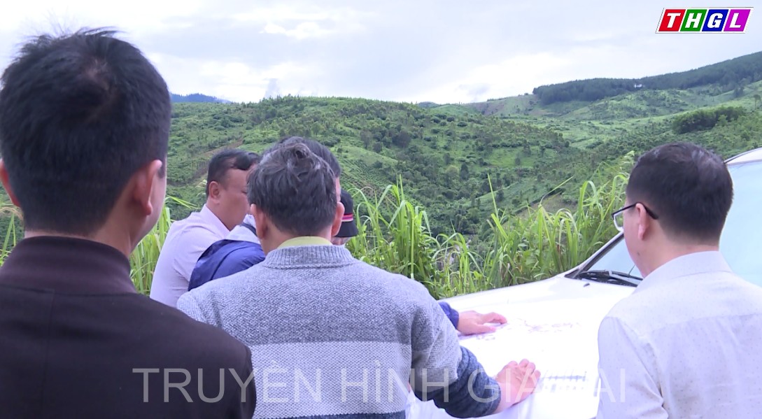 Đoàn công tác HĐNĐ tỉnh Gia Lai khảo sát thực tế công tác trồng, quản lý rừng ở Đak Đoa.