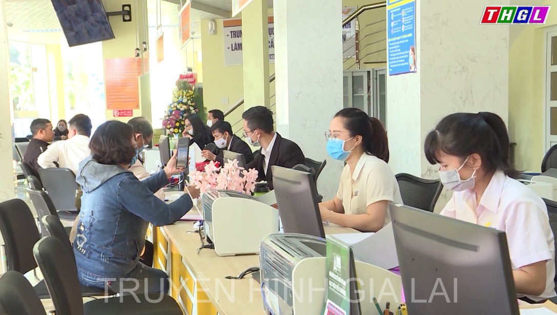 Toàn tỉnh Gia Lai có 77 cán bộ chuyên trách công nghệ thông tin