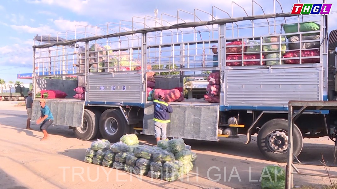 Áp dụng truy xuất nguồn gốc góp phần nâng cao giá trị rau Đak Pơ