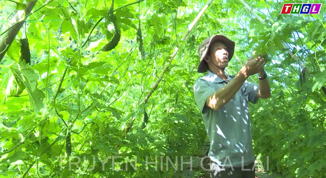 Đẩy mạnh xây dựng và phát triển các hình thức kinh tế tập thể