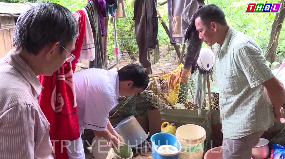 Gia Lai: Tăng 37 ổ dịch sốt xuất huyết chỉ trong vòng 1 tuần