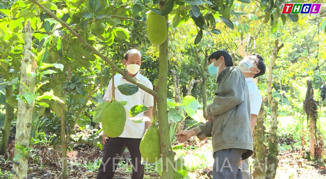 Gia Lai phấn đấu có thêm khoảng 50 HTX nông nghiệp sở hữu sản phẩm OCOP