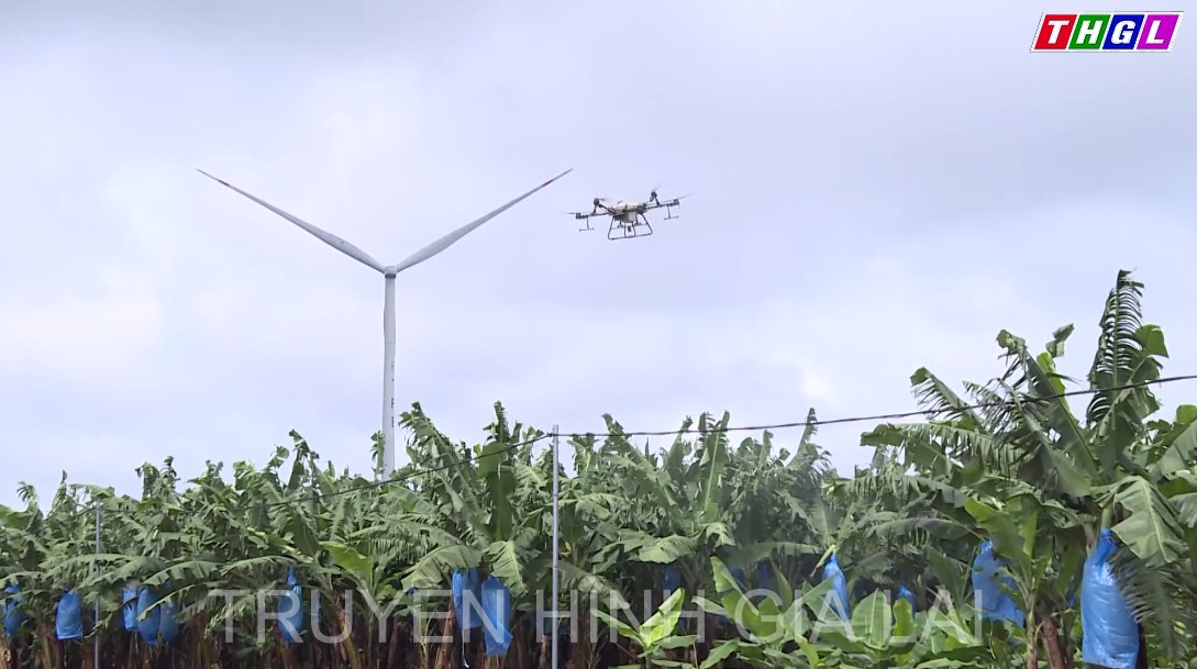 Nông nghiệp ứng dụng công nghệ cao góp phần thay đổi quy mô, diện mạo nền nông nghiệp