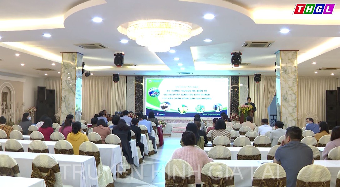 Hội nghị tập huấn Xu hướng thương mại điện tử và giải  pháp tăng tốc kinh doanh cho sản phẩm nông sản địa phương