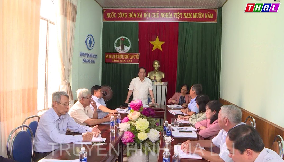 Đoàn công tác Hội Người cao tuổi Việt Nam làm việc với Thường trực Ban đại diện Hội Người cao tuổi tỉnh Gia Lai