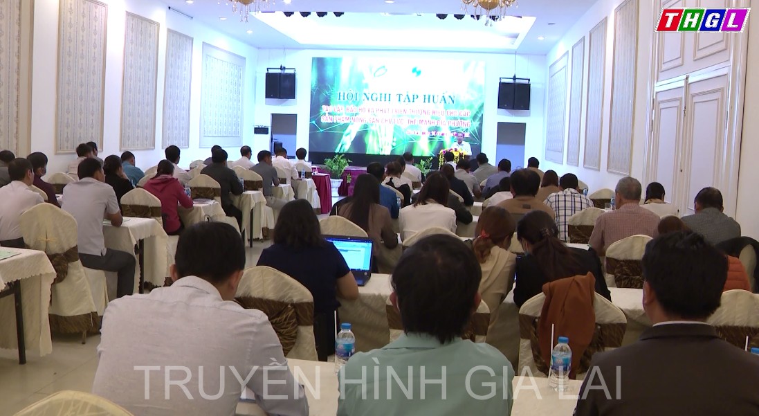 Hội nghị tập huấn “Tạo lập, bảo hộ và phát triển thương hiệu cho sản phẩm nông sản chủ lực, thế mạnh địa phương”