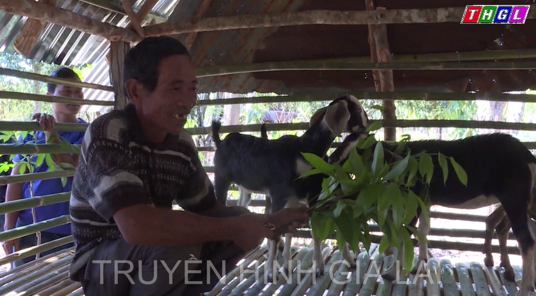 Giảm nghèo ở xã đặc biệt khó khăn Hà Tây, huyện Chư Pah