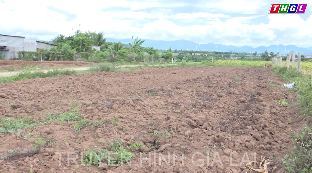 Kông Chro hạn giữa mùa mưa