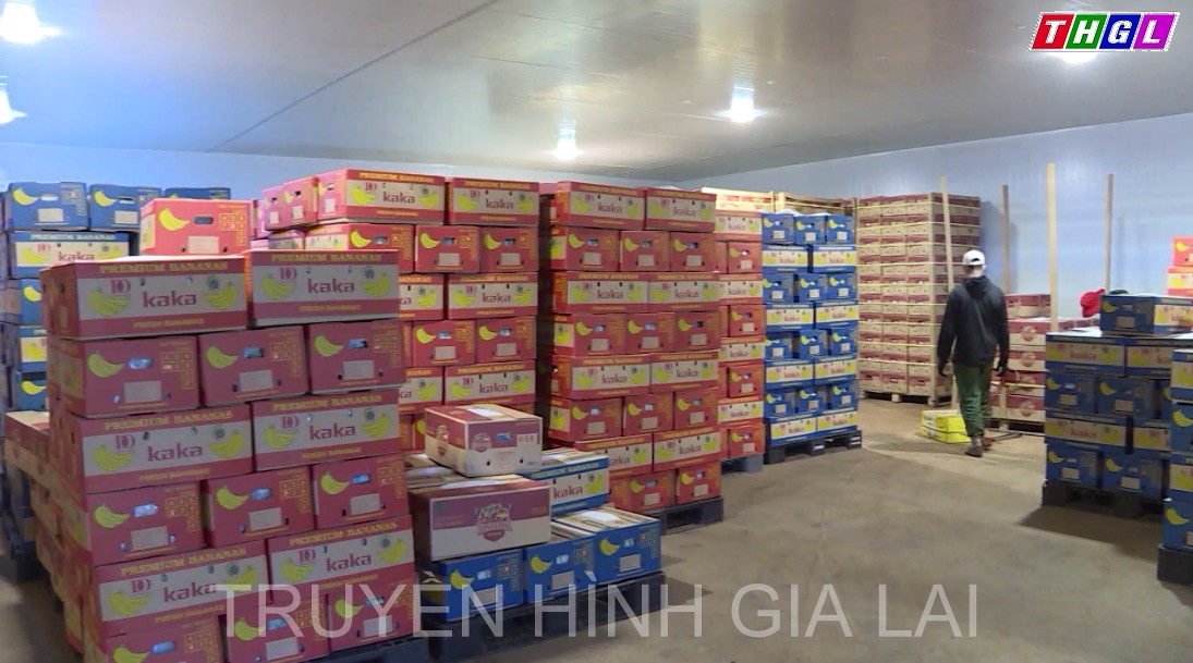 Tín hiệu lạc quan từ xuất khẩu nông sản