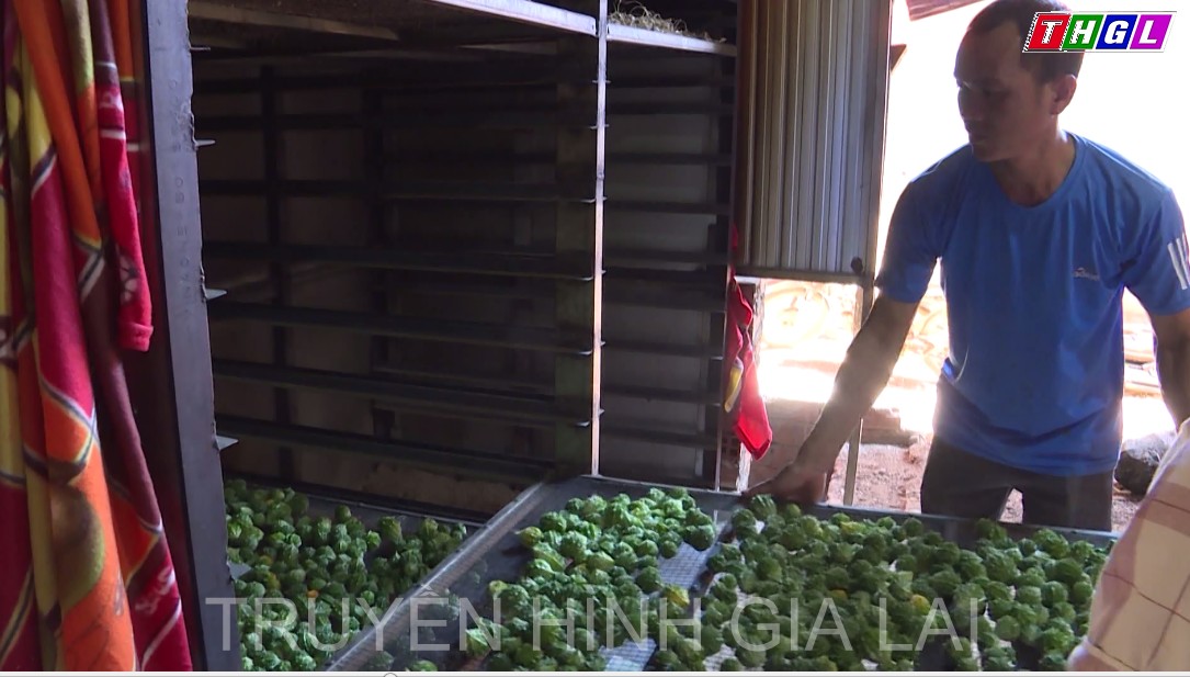 Hợp tác xã góp phần phát triển sản xuất bền vững ở khu vực nông thôn