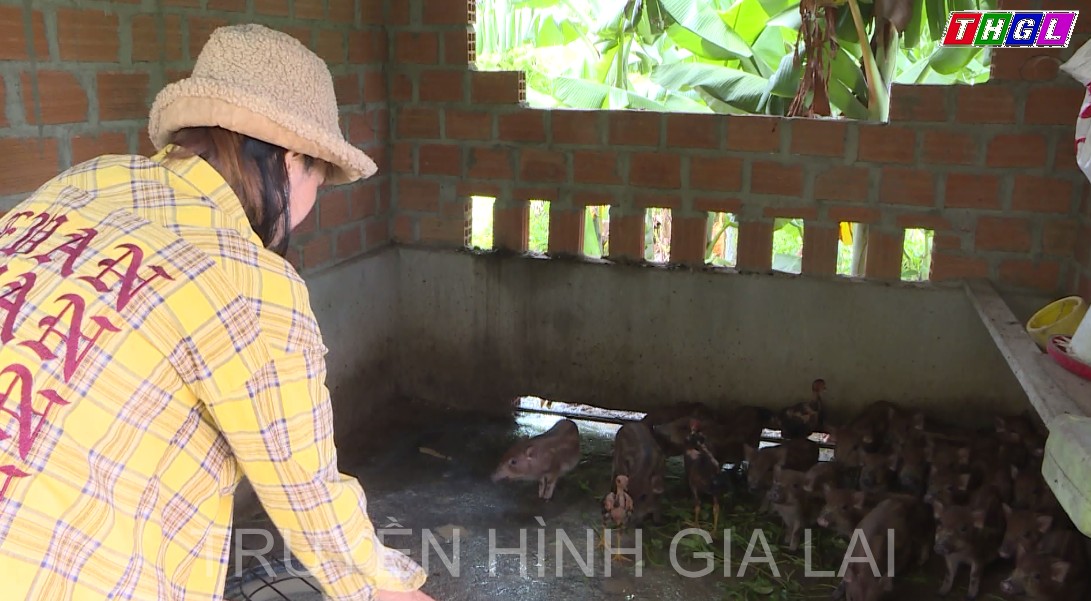 Chị Ksor Huế với niềm đam mê, sáng tạo trong phát triển kinh tế gia đình